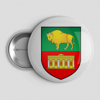 Значок Герб города Свислочь